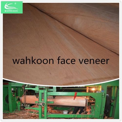 Gurjan Face Veneer Wood, Packaging Type : red