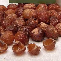 Soapnut, Packaging Type : Bags