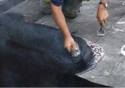 Acid Proof Mastic Lining