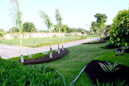 Artificial Grass Carpet Installation