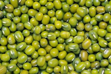 Mung Beans,Whole Mung, Color : Green