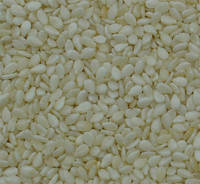 Sesame seeds, Packaging Type : Plastic packet