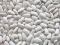 White kidney beans, Packaging Type : Jute Bag