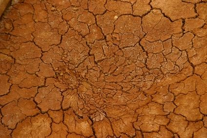 Bentonite, Packaging Size : 50kg