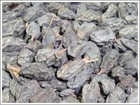 Black raisins, Drying Process : Sun Dry