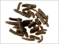 Long pepper