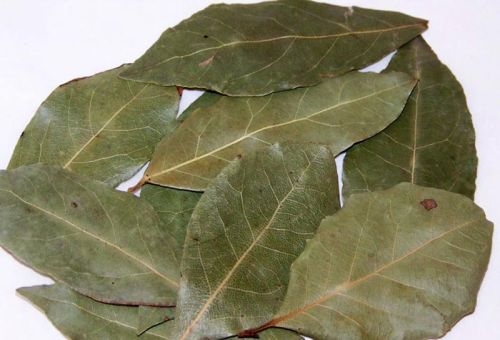 Dried Bay Leaves, Packaging Type : Packet