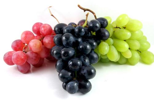 Fresh Grapes