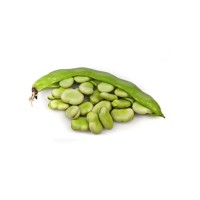 Organic Field Beans Green
