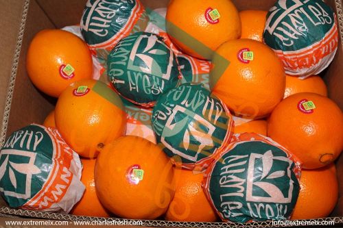 Navel Oranges