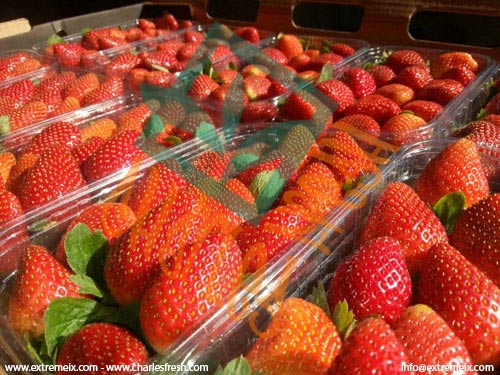 Strawberries