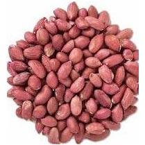 Peanut Kernels