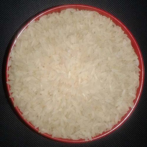 IR36 Rice