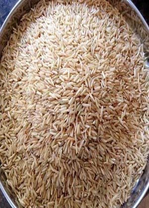 Pusa Brown Basmati Rice