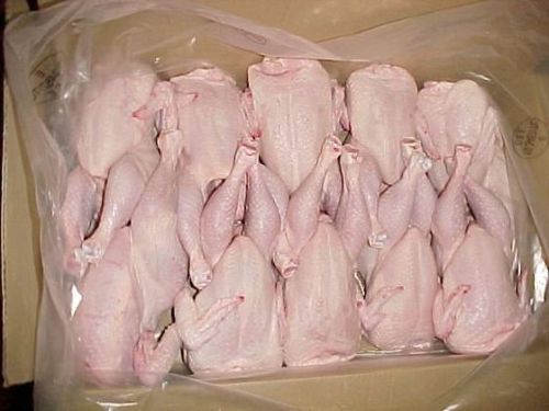 Halal Whole Frozen Chicken