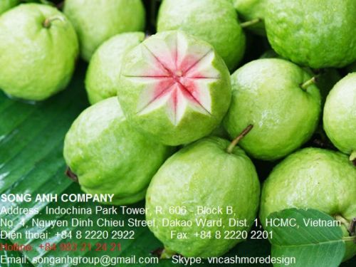 Fresh Guava Fruit