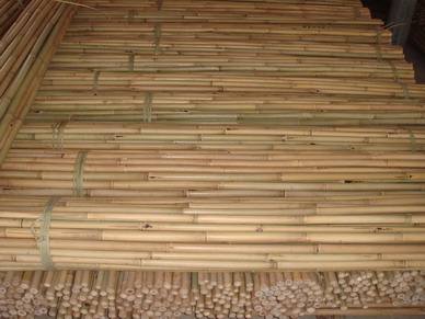 Bamboo Poles/vietnam Bamboo Stake, Brand Name : Songanh