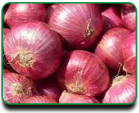 Red onion 55+