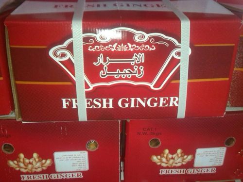 Chinese Fresh Ginger