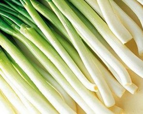 Chinese Green Onion