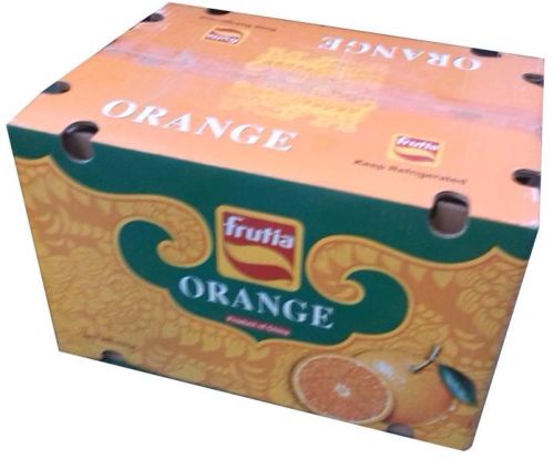 Navel Orange