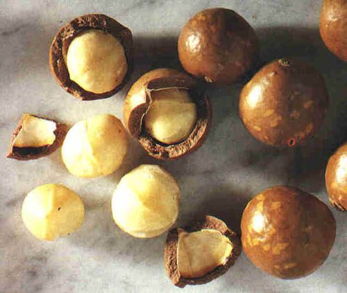 Macadamia nuts