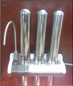 Food Detoxification Machine