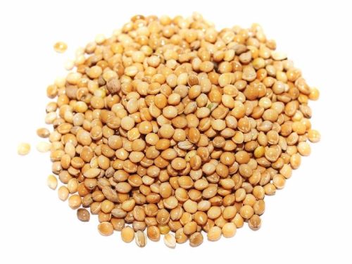 Millet Seeds