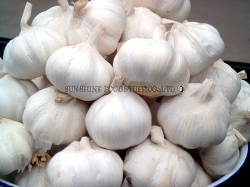 Fresh garlic, Number Of Flower : Vegetable