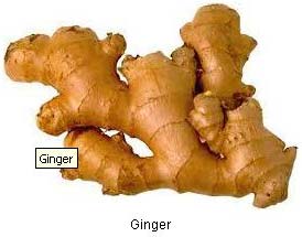 Fresh ginger Form :Whole