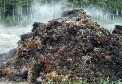 Coir Manure