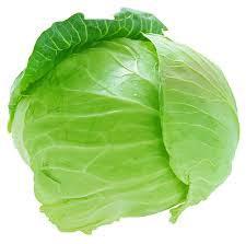 Fresh Cabbage