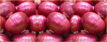 Fresh red onion For Food