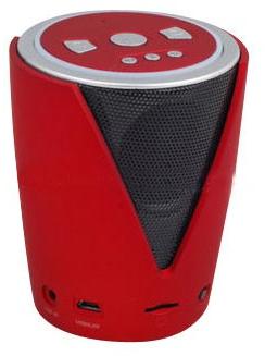 Multi Function Bluetooth Speaker