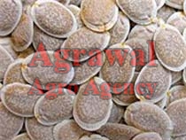 Sponge Gourd Seeds