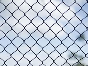 Chain Link Mesh, Mesh Size : 50 mm, 75 mm