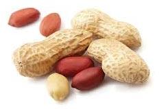 Red Skin Peanut