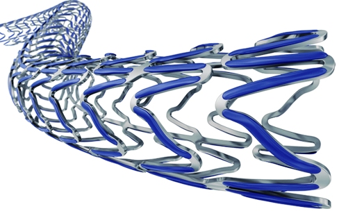 Drug Eluting Stent Ultimaster