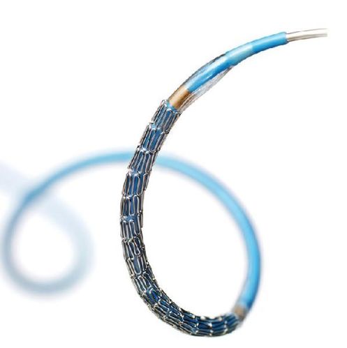 Integrity Coronary Stent System