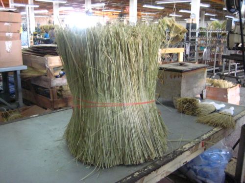 Broom Coconut Fibers
