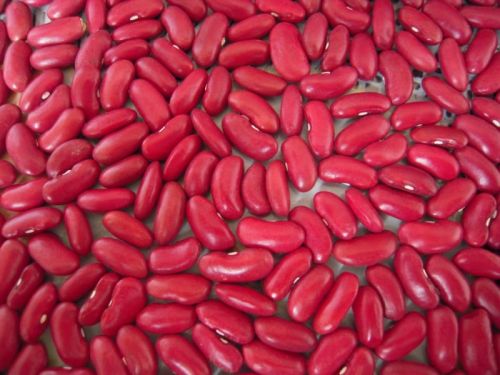 Kidney beans, Shelf Life : 6 Month