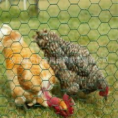 Chicken Wire Mesh