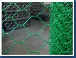 PVC Coated Hexagonal Wire Mesh