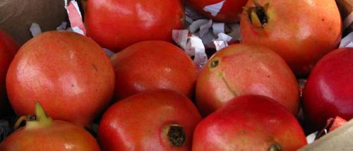 Organic Fresh Pomegranate, For Making Custards, Making Juice, Making Syrups., Packaging Type : Curated Box