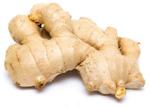 Fresh ginger, Cultivation Type :Organic