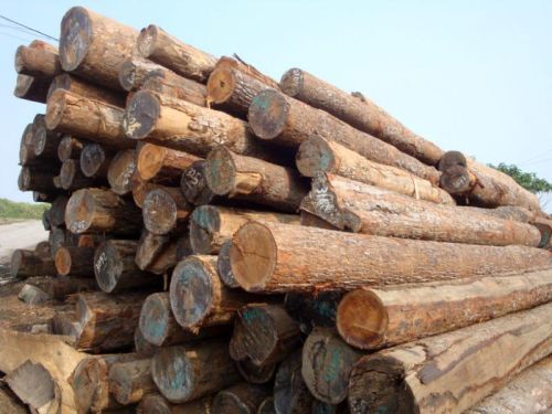 Wood logs