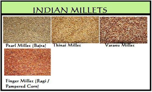 Millet Seeds