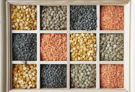 Indian Pulses