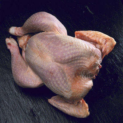 Halal Frozen Whole Chicken