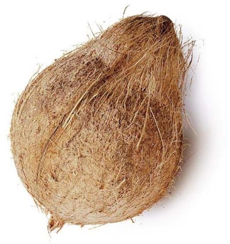 Fresh coconut, Variety : Matured Coconut